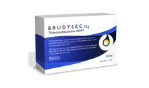 BrudySec 