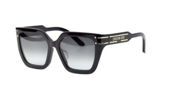 Sluneční brýle Dior Signature S10F