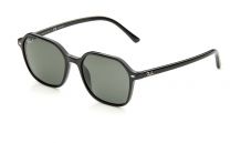 Sluneční brýle Ray Ban John 2194 53